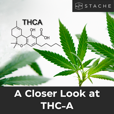 A Closer Look at THC-A